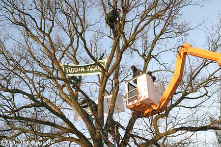 Baumbesetzung in Lüneburg